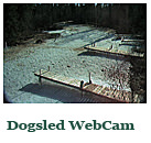 Dog Sled Web Cam (only available in winter months)