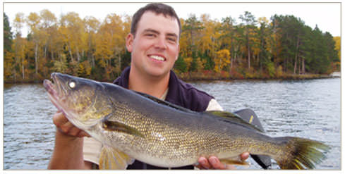 Timber Trail Lodge in Ely, MN